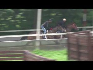 ルーチェロッサ（ルミナスレッドの20）202207 1