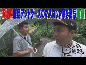 【公式】 茨城県　鹿島アントラーズのマスコット像を激写する旅　後編 　（2018年07月20日OA）｜ゴリパラ見聞録