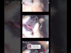 【BTS】インスタストーリーにヨンタン〜귀여워요 ♡♡♡下にテテちゃんもいる〜#ヨンタン#テテ#bts#V @BTS