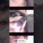 テテ💜ヨンタン　Instagram Stories #shorts