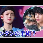 テヒョンとヨンタンについて、あなたが知らない4つのこと - 最も感動的な瞬間