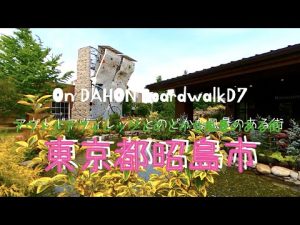 #34【東京都昭島市ポタリング】西武立川駅→アウトドアヴィレッジ→モリタウン→昭島駅・中神駅・東中神駅→多摩大橋→くじら公園【DAHON Boardwalk D7】