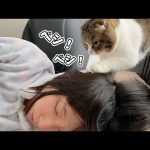 休日の朝に爆睡しているママを起こした後の猫がこうなりました…w