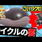 【ランク1位解説】シーズン1のサイクル戦における地面枠はドオーしか存在しない説【ポケモンSV】