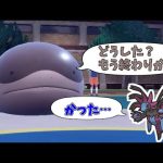 [ポケモンSV ]サザンドラ絶対〇す「ちょすいドオー」