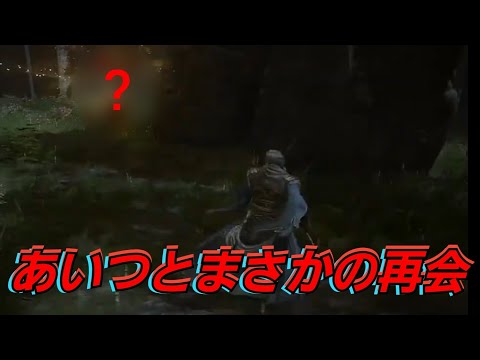 遂に新マップ上陸‼湖のリエーニエを探検‼ 【ELDEN RING part11】