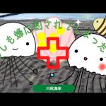 【蜂に刺された時の対処法】新年早々のーんの災難