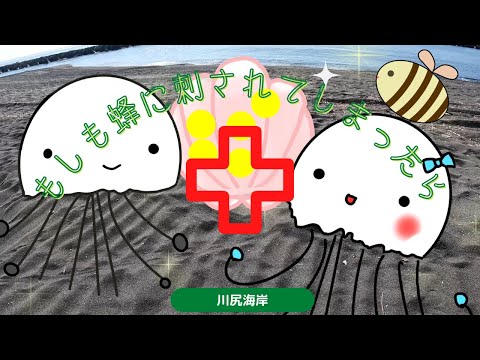 【蜂に刺された時の対処法】新年早々のーんの災難