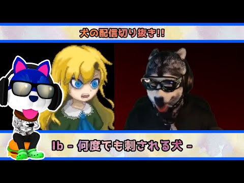 🐕【ショート切り抜き】ib 何度も何度も刺される犬🍪