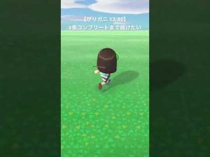 あつ森　作業記録【ザリガニ 13/80】#魚コンプリートまで続けたい