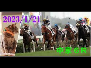 2023/1/21　中京６レース　枠順確定