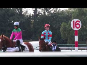 2023年1月15日 中京6R メイクデビュー中京 本馬場入場 ヴォレトンクール