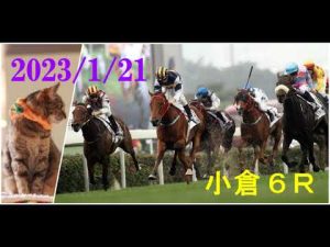 2023/1/21　小倉６レース　枠順確定