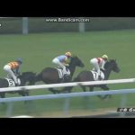 2023年1月14日　小倉6R　3歳未勝利　エールミネルヴァ