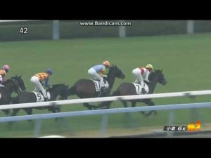 2023年1月14日　小倉6R　3歳未勝利　エールミネルヴァ