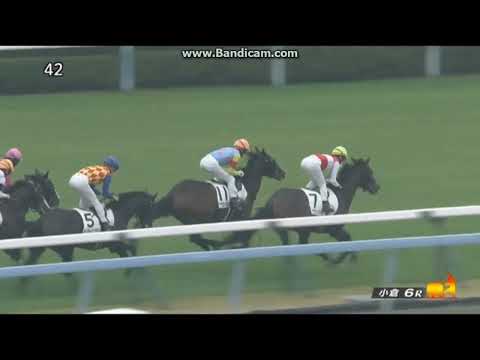 2023年1月14日　小倉6R　3歳未勝利　エールミネルヴァ