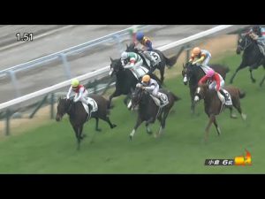 2023/01/14　小倉競馬場　6R　エールミネルヴァ　ディオファントス　ショウナンハルカゼ　永島まなみ騎手　同着