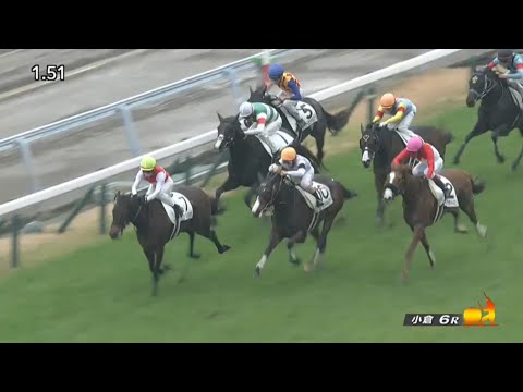 2023/01/14　小倉競馬場　6R　エールミネルヴァ　ディオファントス　ショウナンハルカゼ　永島まなみ騎手　同着