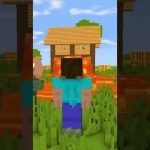 MINECRAFT ON 1000 PING ( Herobrine Saves Village) Monster School Minecraft Animation