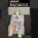 【#Shorts】年賀状用の家族写真のお手伝いを猫にお願いしてみました