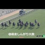高額馬ヤングローゼス(1億2100万円)が騙馬となって臨戦した未勝利戦