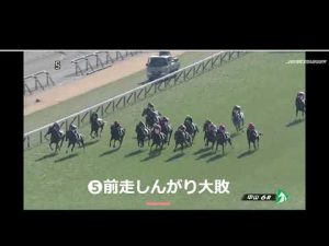 高額馬ヤングローゼス(1億2100万円)が騙馬となって臨戦した未勝利戦