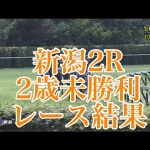 8/21 新潟2R 2歳未勝利 レース結果