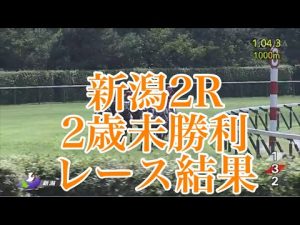 8/21 新潟2R 2歳未勝利 レース結果