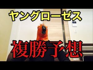 【7/16福島5R】ヤングローゼス複勝予想