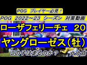 このＰＯＧ専用動画で戦い抜け！　ローザフェリーチェ２０　馬名はヤングローゼス
