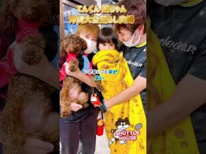 🏸 てんくん 茜ちゃん来沖👍夫婦で沖縄バドミントン大会荒らし😎#シャトルハウス に 娘上半身裸で乱入🤣自由な仲間が集まるお店✨🤣#川崎#浦添市ランク別