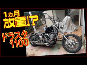 【ドラッグスター1100】久しぶりにドラスタ1100出動だ！！【モトブログ】