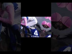 トウカイテイオーが成し遂げれなかったことを成し遂げたうま【競馬】#shorts #競馬#ディープインパクト #ルドルフ #コントレイル