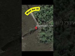 UFO Seen Over Florida on Google Earth | Wait for it! | #shorts