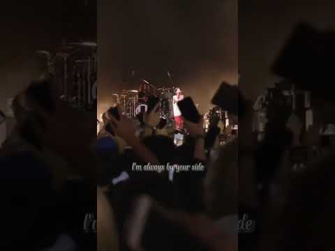 ONE OK ROCK Wherever You Are Live Summer Sonic 2022 | #shorts #oneokrock #lyrics | WhoAmI?