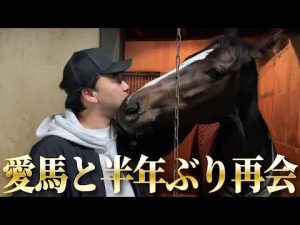 ジャンポケ斉藤、愛馬オマタセシマシタと半年ぶり再会！吉原寛人騎手＆加藤和義調教師も登場！