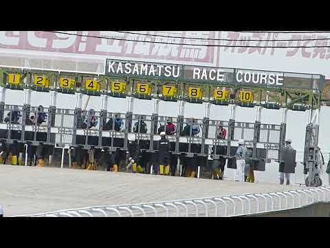 １.13:笠松競馬３R・サラ系C14組　トーセンユーリ