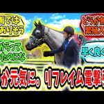 『どうか元気に。リフレイム電撃引退』に対するみんなの反応