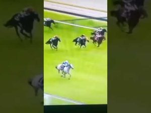 外ラチのアイドル[リフレイム]さようなら引退決定2023年1月