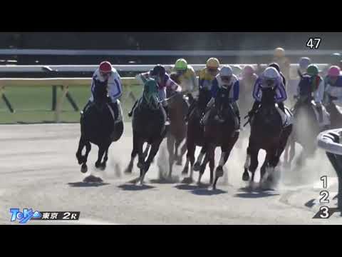 2023年1月28日（土）東京3R 3歳新馬レース映像【ハッピーロンドン】