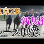 1/28 東京2R 新馬戦 レース映像