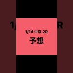 1月14日 中京 2R 予想