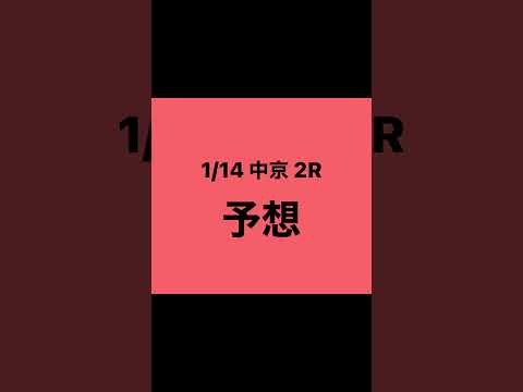 1月14日 中京 2R 予想