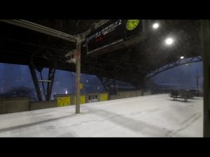 JR嵯峨野線 倒竹のため運転見合わせ 二条駅ホームに人影なし