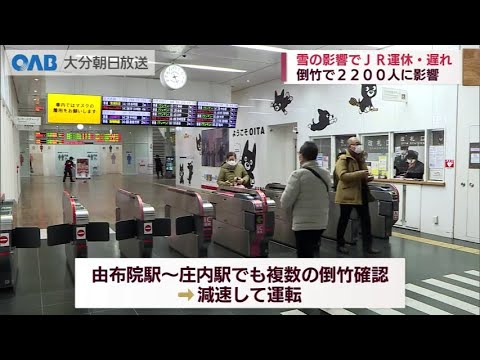 【大分】雪による倒竹でＪＲに影響