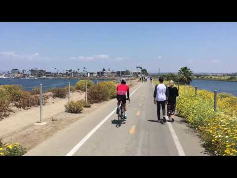 マリナデルレイのバイクロード / Marina del rey south side bike road