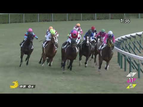 2023 01 29 中京6R 3歳新馬 エルチェリーナ(岩田望来)