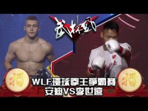 武林風 2019年第28集 ：WLF環球拳王爭霸賽，安迪VS李世遠