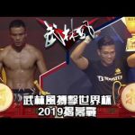 武林風 2019年第26集 ：武林風搏擊世界杯2019揭幕戰