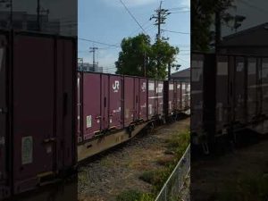 日本製紙岩国工場、構内軌道。